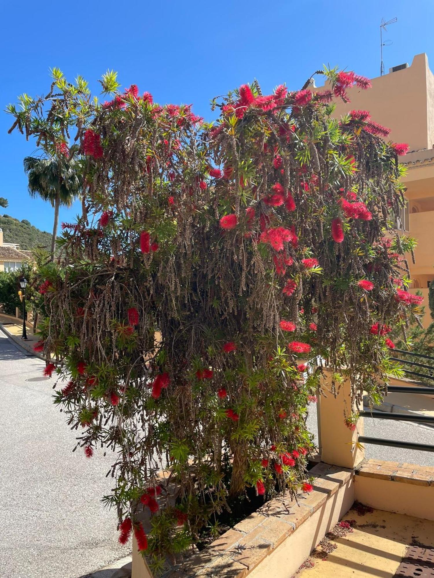 Santa Maria Village Marbella Esterno foto